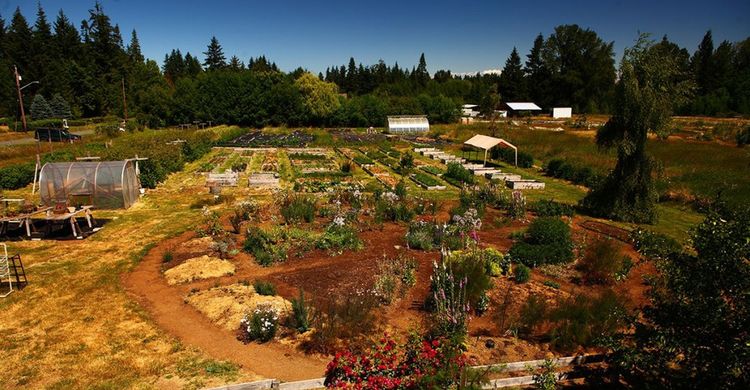 Panorama view of Innisfree farm