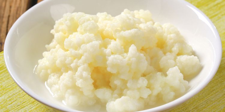 Photo of kefir grains in jar