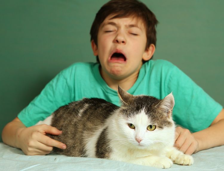 Photo of a Kid sneezing having Allergy to Cat