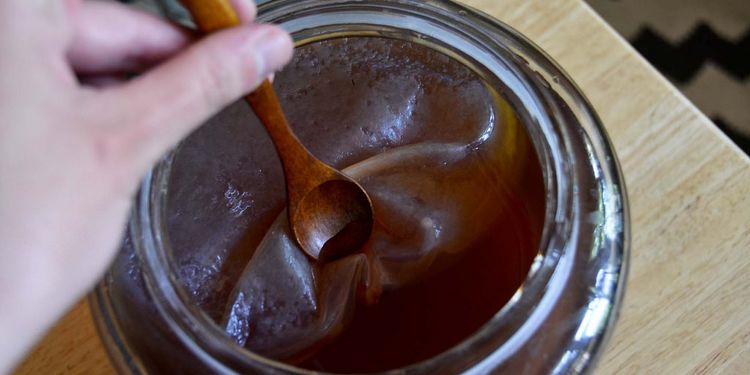 Photo of touching a kombucha SCOBY with a spoon