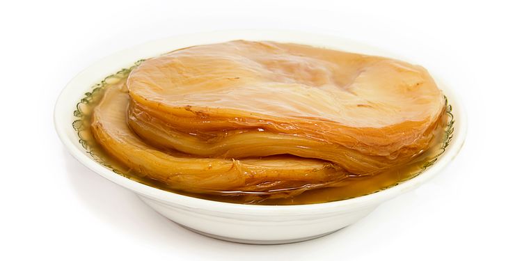 Photo of kombucha SCOBY on a plate