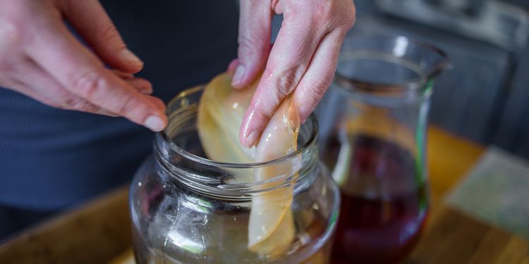 Photo of hands pulling out the SCOBY kombucha out of the jar