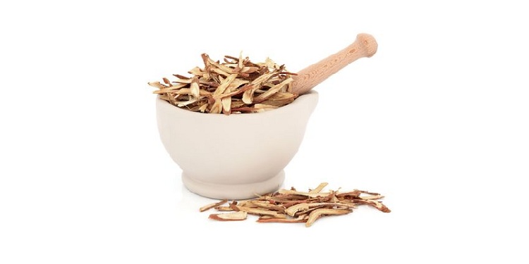 Photo of a licorice root that Has Memory Enhancing Abilities