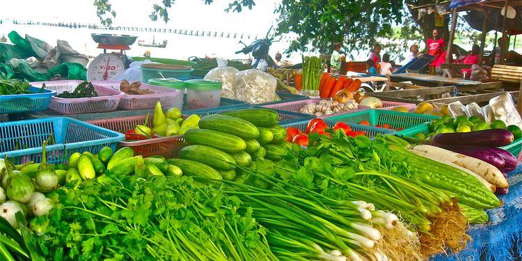 Photo of vegetables at a local organic market