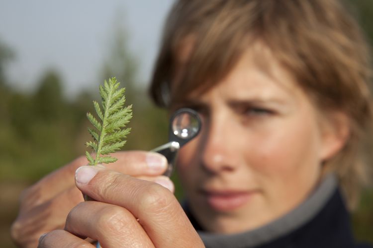 Photo of a girl Looking Through A Magnifying Glass