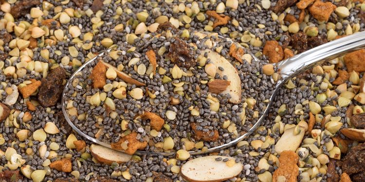 Close view of dry breakfast cereal consisting of chia seeds, nuts, and dried fruit with a spoon.