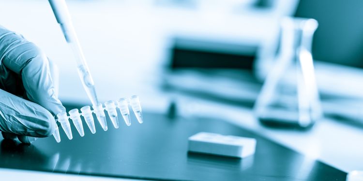 Photo of lab technician holding PCR test tubes