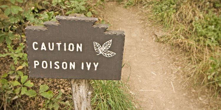 Photo of poison ivy caution sign