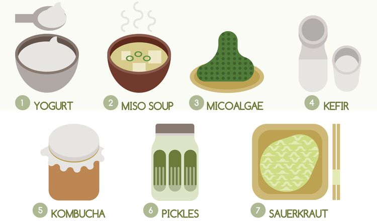 Illustration of different probiotic foods