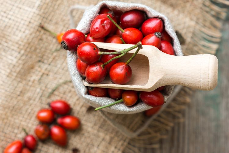 Photo of Rose Hips In Burlap Bag