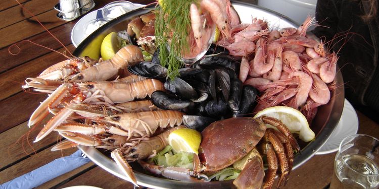 Photo of dish with different sea food stuff