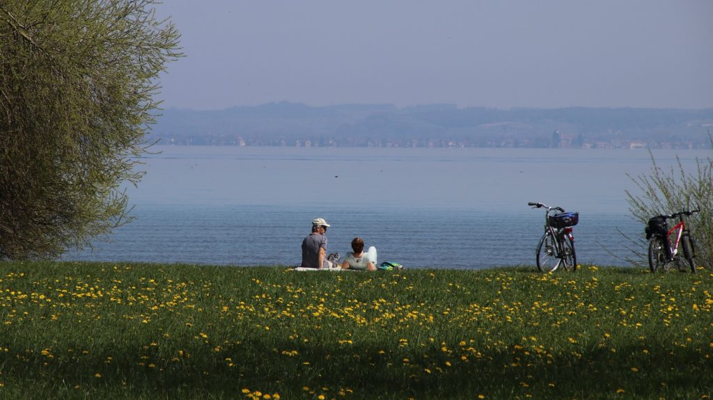 laying on grass by lake