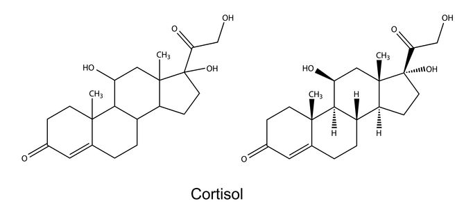 Structural Chemical Formula of Cortisol