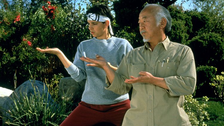 The Karate Kid Lessons