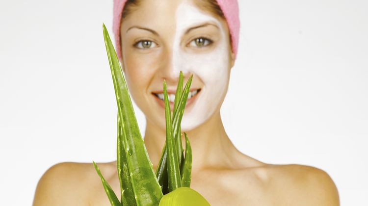 Photo of a woman holding a plant of Aloe Vera