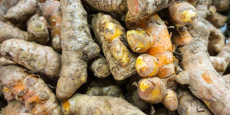 Photo of a bunch of turmeric roots