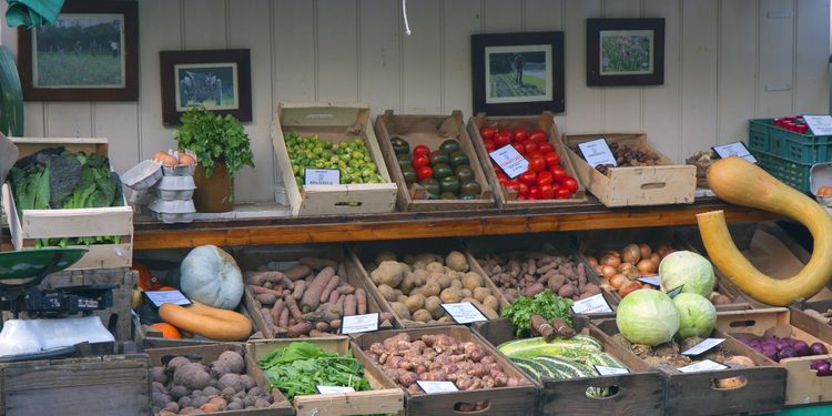 Photo of different vegetables in boxes on market place