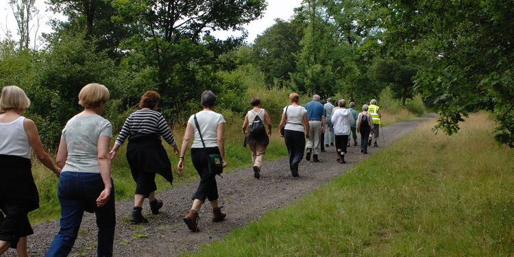 Photo of people walking