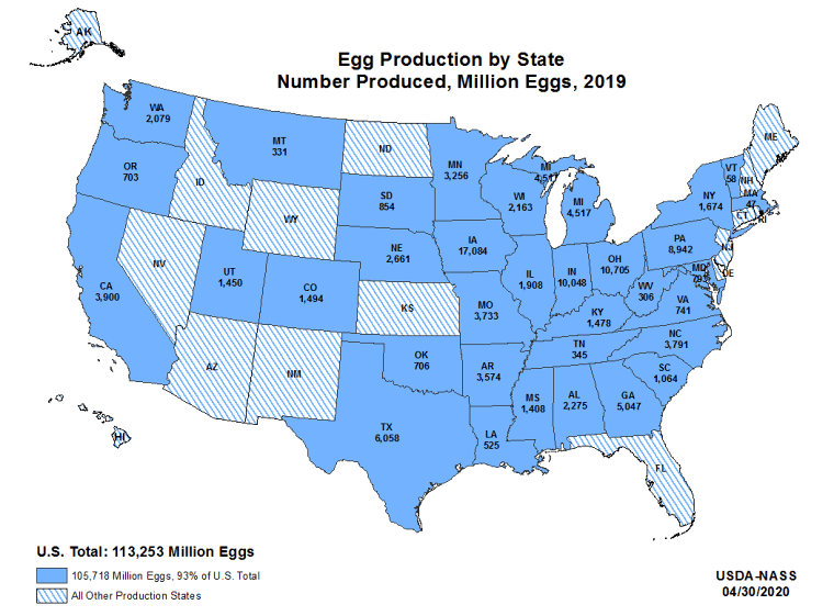 egg production