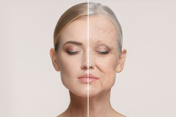 skin aging