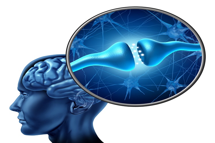 vagus nerve impact on memory