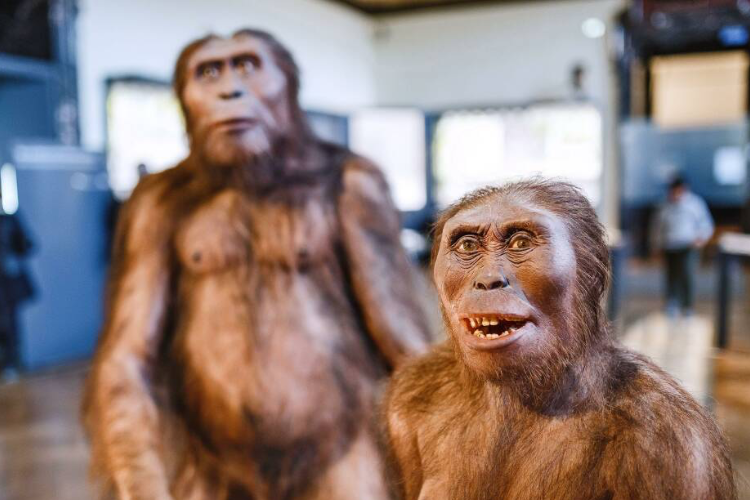 Fascinating Facts About Early Humans You Probably Didn’t Know