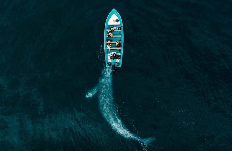 These Incredible Photos Were Captured by Affordable Consumer Drones